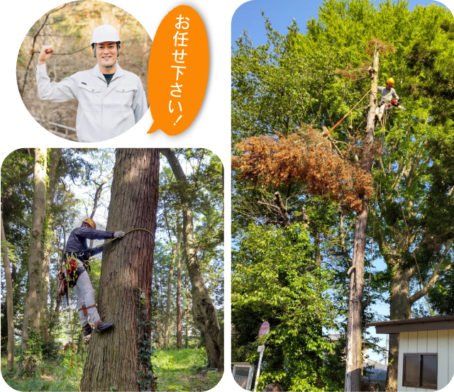 お任せ下さい！　空師画像