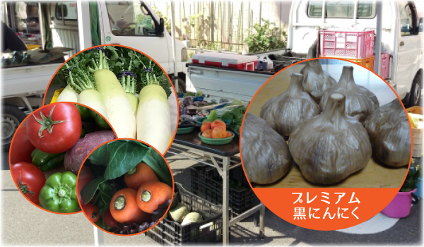 軽トラ市　プレミアム黒にんにく